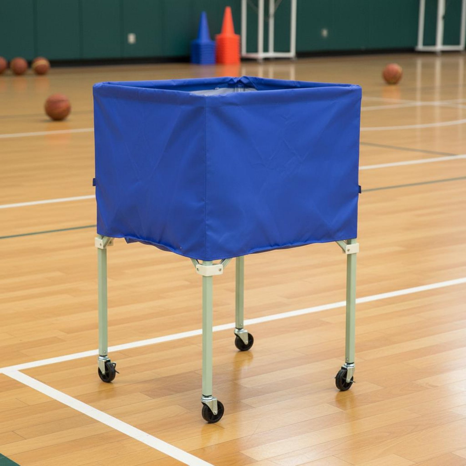 Ball Vehicle Cover Shielding S - Sports Equipment Organizer recensie en prijs